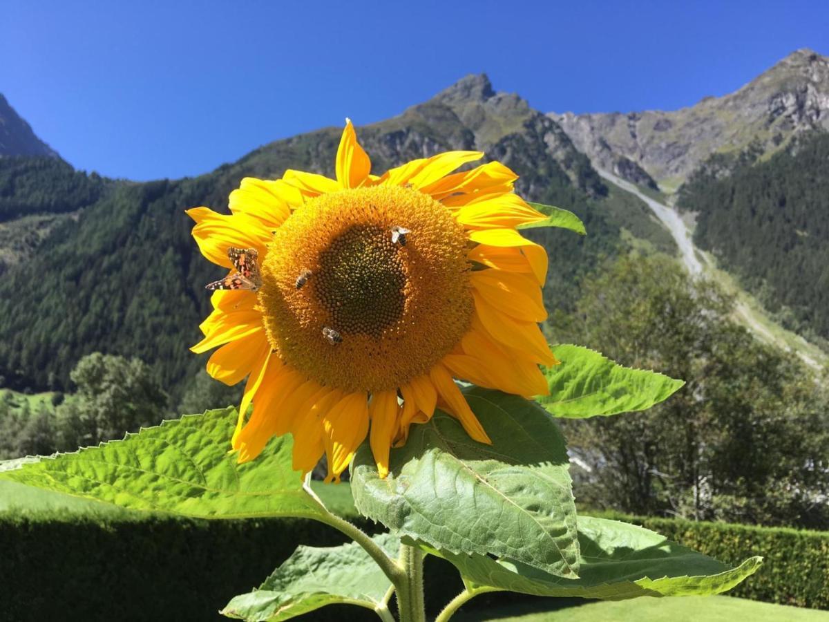 Haus Sonnwend Hotell Sölden Eksteriør bilde